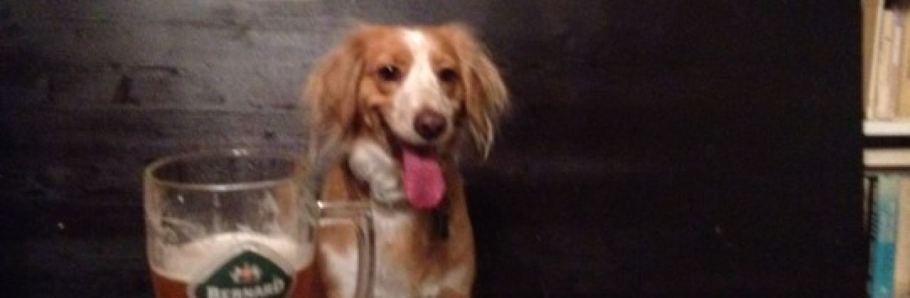 Pod Kamennym Stromom