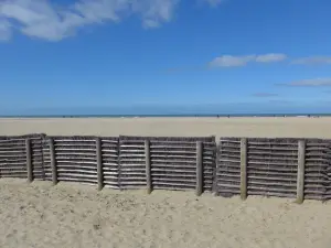 Bar De La mer