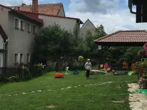 Vystřelený Vočko Restaurant