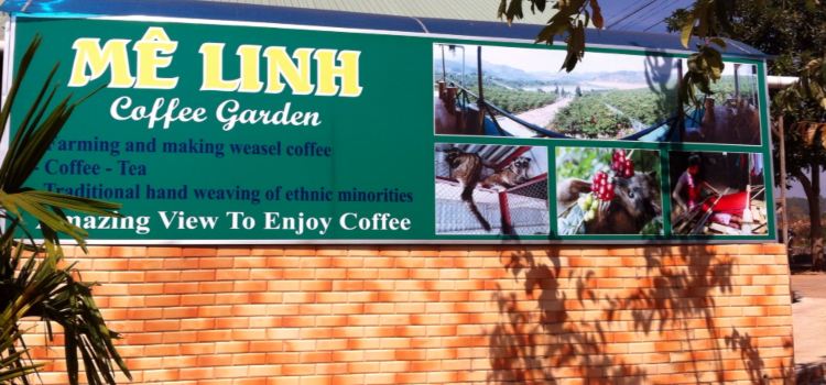 Mê Linh Coffee Garden