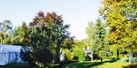 Restaurant & Cafe Pagoni