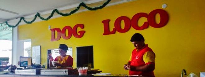 Dog Loco