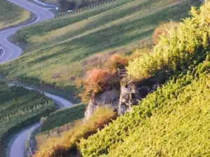 Weingut Lehnert-Veit