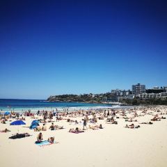 Hurricane's Grill - Bondi Beach User Photo