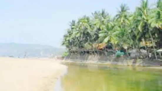 Blue Lagoon - Cola Beach - Goa