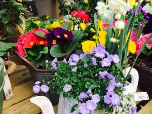 Hanging Gardens Nursery & Tearoom