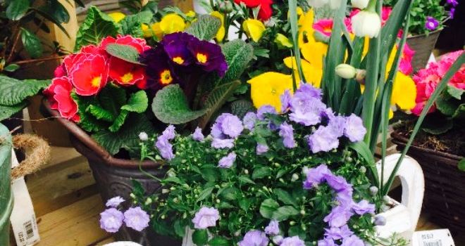 Hanging Gardens Nursery & Tearoom