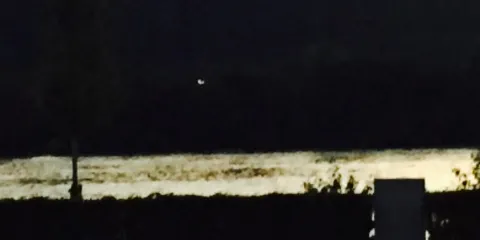 RheinPerle Restaurant