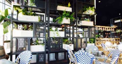Steamers Bar and Grill