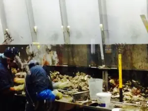 The Fish Peddler at Pacific Oyster