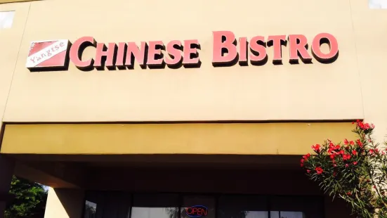 Great Chinese food