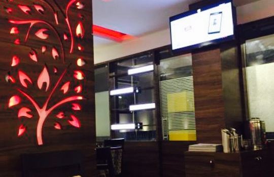 Indian Cuisine