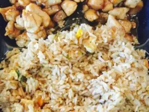 Hashi Teppan Grill