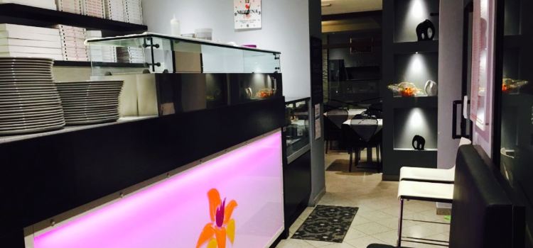 Pizzeria Orchidea