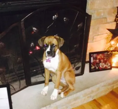 Two Rivers Grille Llc