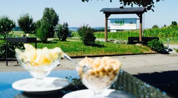 Sagi