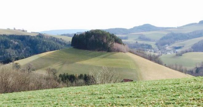 Zum Landknecht