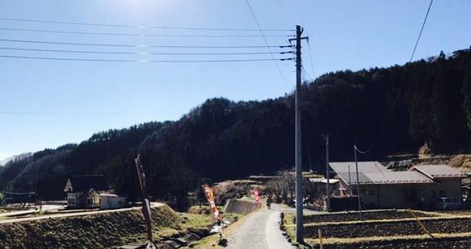 Soba Watanabe
