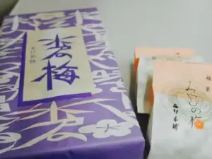 Okashinohiroba Kamejirushihonten