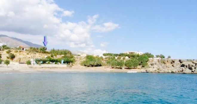 Zorbas Taverna