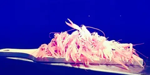 Restaurant Les Enfants Terribles