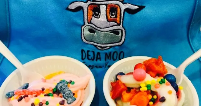 Deja Moo Frozen Yogurt