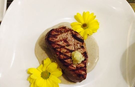 Edo Fusion Asian Cuisine & Ramen