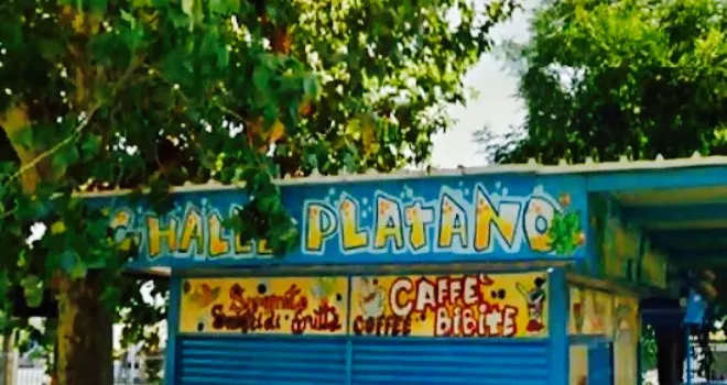 Chalet Platano - The King of Sandwiches