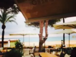 Limonero Playa Cristal