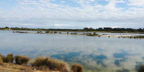 Champion Lakes Regatta Centre
