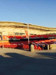 RioTinto Stadium