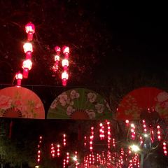 Tang Dynasty Art Garden Hotel Xi'an Shanxi Guan Fu Cuisine User Photo