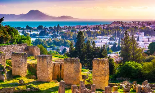Ruins of Carthage