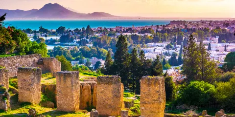 迦太基古城遺址