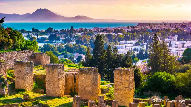 Site archéologique de Carthage