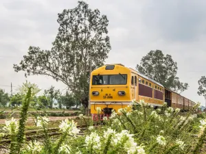 Jianshui Excursion Train