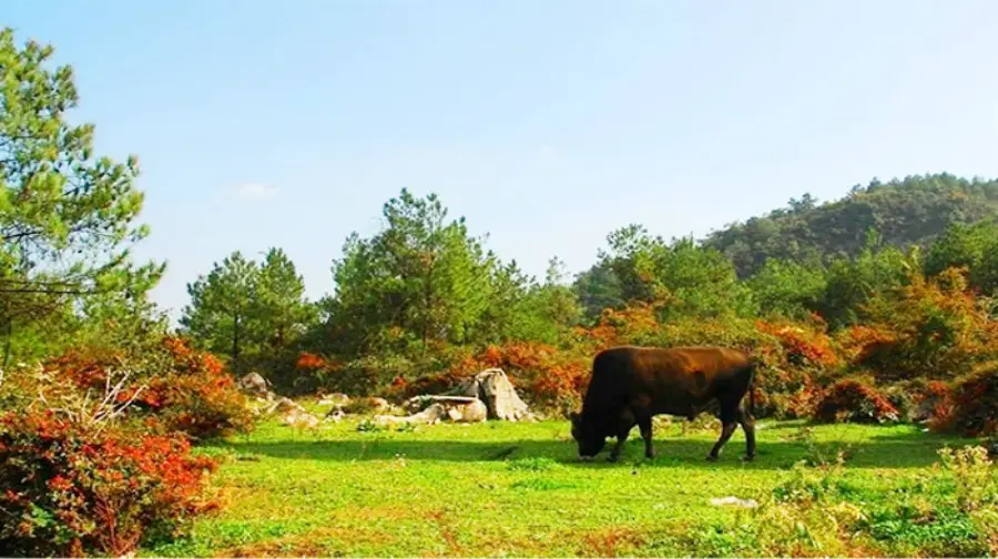 重慶千野草場景観地