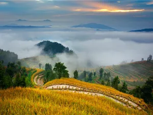 Ziquejie Terraces