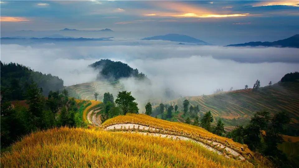 2_Ziquejie Terraces