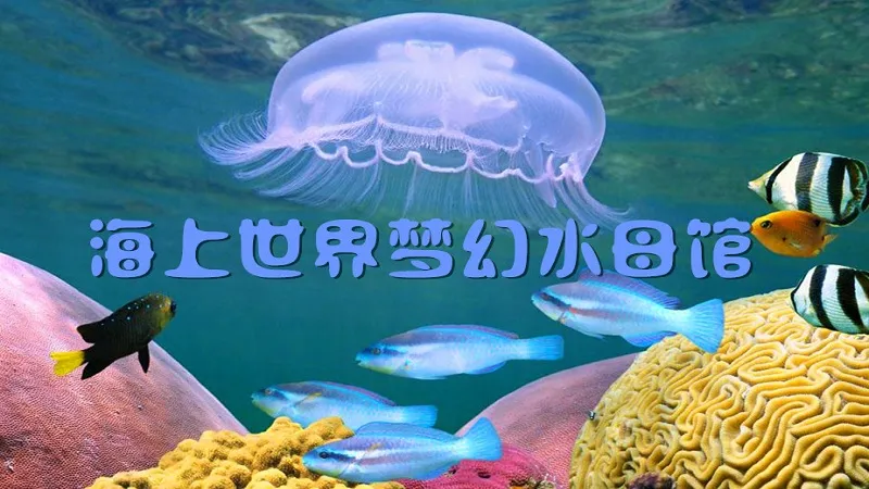 5_海上世界