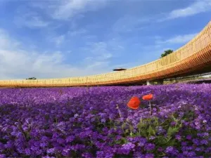 三台山國家森林公園