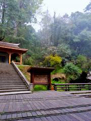 Alishan Shenmu Area