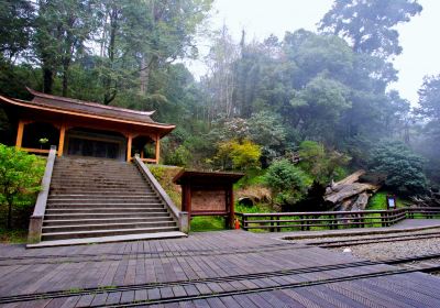 阿里山神木區