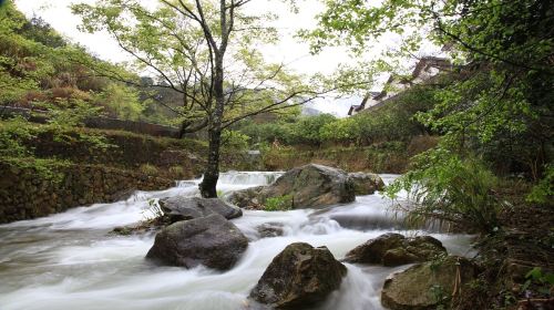 Yannan Feiqiao Stream Scenic Area