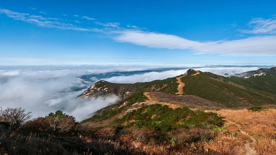 Hubei Yingshan Dabie Mountain South Wudang Tourist Area
