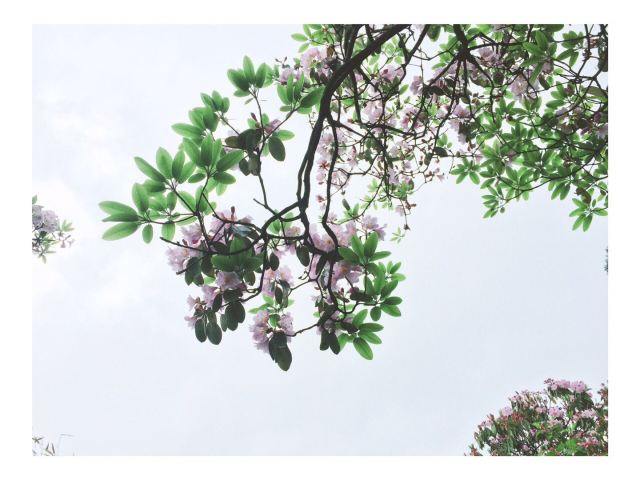 화딩 국가산림공원