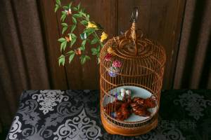 Popular dishes