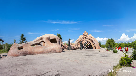 Dinosaur National Geology Park In Jiayin County