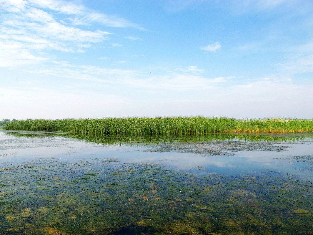 Compare 4 airports near Hengshui