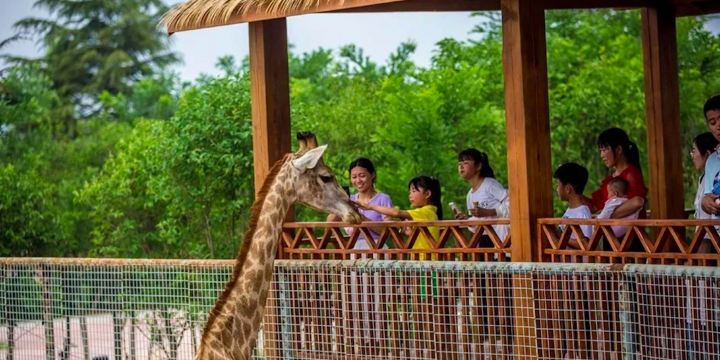 Dongbeizhuang Yesheng Zoo
